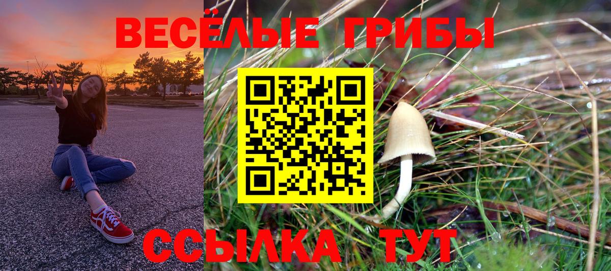 Псилоцибиновые грибы Magic Shrooms Тобольск