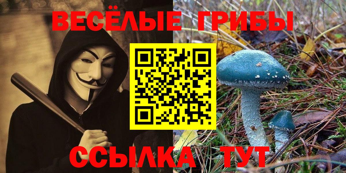 Псилоцибиновые грибы ЛСД  где купить наркоту  Вход с VPN  Тобольск  Псилоцибиновые грибы GOLDEN TEACHER 
